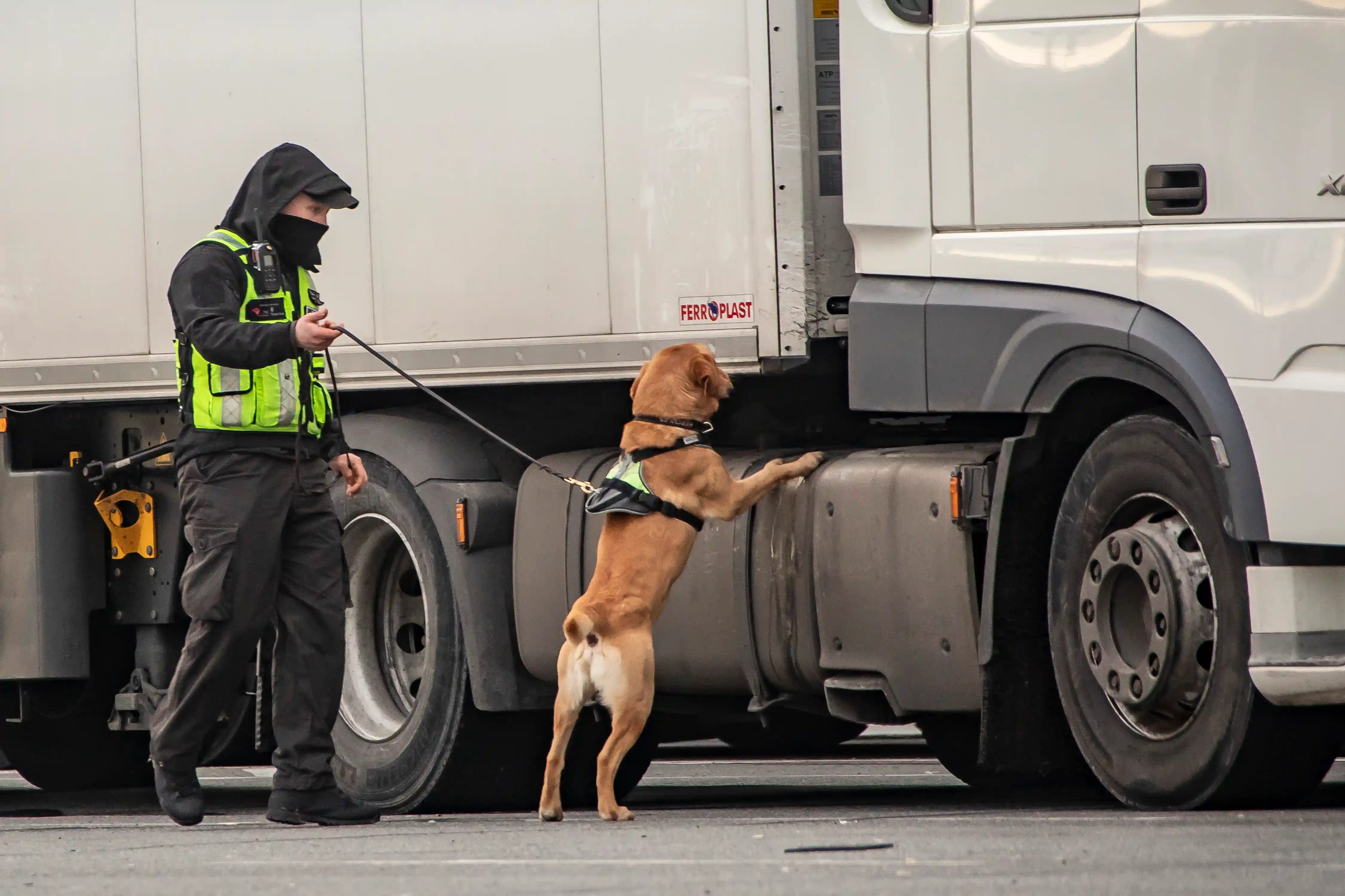 photo 22 Gallerie photos reportages